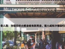 非人哉：孙悟空的火眼金睛有新用途，猪八戒和沙僧回归