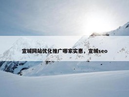 宣城网站优化推广哪家实惠，宣城seo