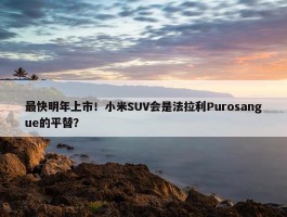 最快明年上市！小米SUV会是法拉利Purosangue的平替？