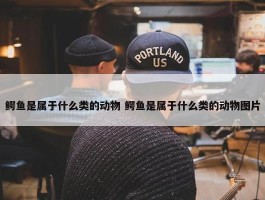 鳄鱼是属于什么类的动物 鳄鱼是属于什么类的动物图片