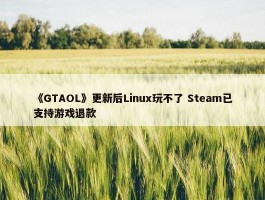 《GTAOL》更新后Linux玩不了 Steam已支持游戏退款