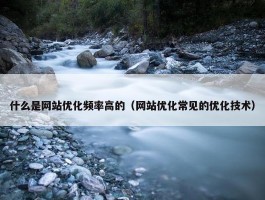 什么是网站优化频率高的（网站优化常见的优化技术）