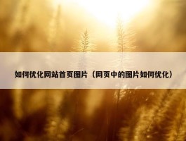 如何优化网站首页图片（网页中的图片如何优化）