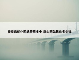 秦皇岛优化网站费用多少 唐山网站优化多少钱