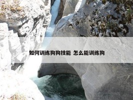 如何训练狗狗技能 怎么能训练狗