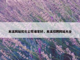 本溪网站优化公司谁家好，本溪招聘网站大全