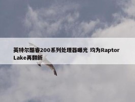 英特尔酷睿200系列处理器曝光 均为Raptor Lake再翻新