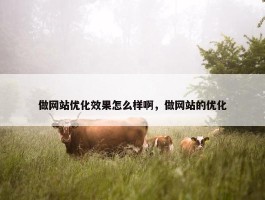 做网站优化效果怎么样啊，做网站的优化