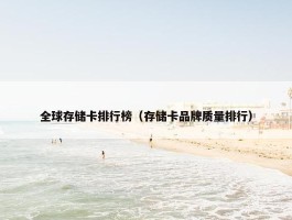 全球存储卡排行榜（存储卡品牌质量排行）