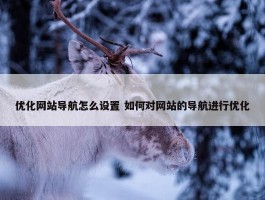 优化网站导航怎么设置 如何对网站的导航进行优化