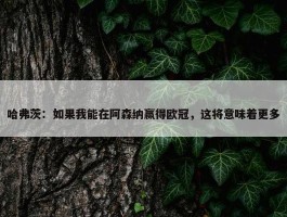 哈弗茨：如果我能在阿森纳赢得欧冠，这将意味着更多