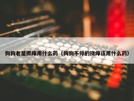 狗狗老是抓痒用什么药（狗狗不停的挠痒该用什么药）