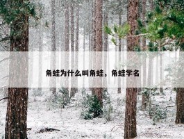 角蛙为什么叫角蛙，角蛙学名