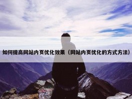 如何提高网站内页优化效果（网站内页优化的方式方法）