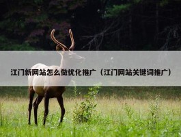 江门新网站怎么做优化推广（江门网站关键词推广）