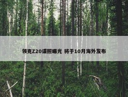 领克Z20谍照曝光 将于10月海外发布