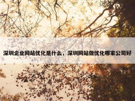 深圳企业网站优化是什么，深圳网站做优化哪家公司好