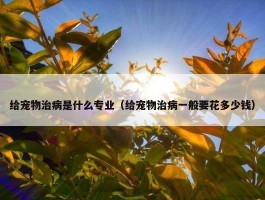 给宠物治病是什么专业（给宠物治病一般要花多少钱）