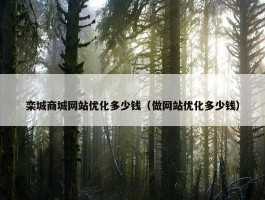 栾城商城网站优化多少钱（做网站优化多少钱）