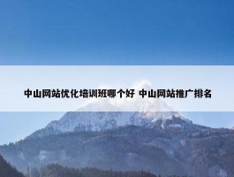 中山网站优化培训班哪个好 中山网站推广排名