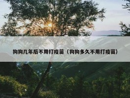 狗狗几年后不用打疫苗（狗狗多久不用打疫苗）