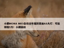 小鹏MONA M03自动泊车撞到奥迪A8大灯：可能得赔5万！小鹏回应