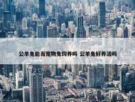 公羊兔能当宠物兔饲养吗 公羊兔好养活吗