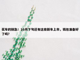 买车的别急！10月下旬还有这些新车上市，钱包准备好了吗？