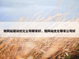 微网站建设优化公司哪家好，做网站优化哪家公司好