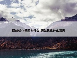 网站优化是因为什么 网站优化什么意思