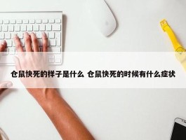 仓鼠快死的样子是什么 仓鼠快死的时候有什么症状