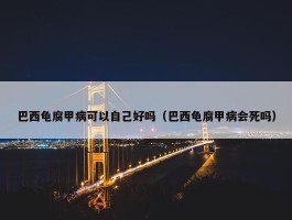 巴西龟腐甲病可以自己好吗（巴西龟腐甲病会死吗）