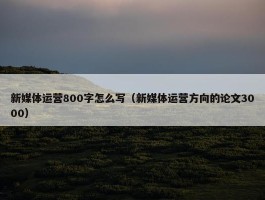 新媒体运营800字怎么写（新媒体运营方向的论文3000）