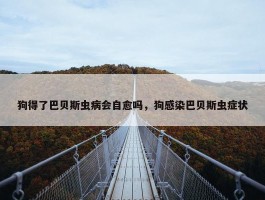 狗得了巴贝斯虫病会自愈吗，狗感染巴贝斯虫症状