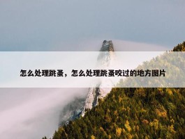 怎么处理跳蚤，怎么处理跳蚤咬过的地方图片