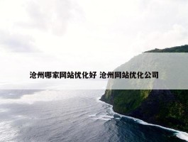 沧州哪家网站优化好 沧州网站优化公司