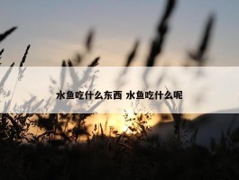 水鱼吃什么东西 水鱼吃什么呢