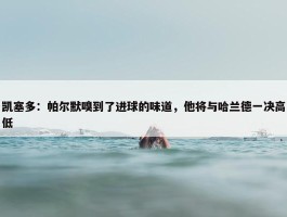 凯塞多：帕尔默嗅到了进球的味道，他将与哈兰德一决高低