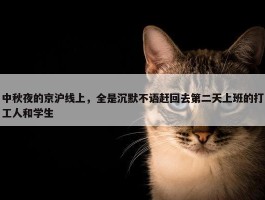 中秋夜的京沪线上，全是沉默不语赶回去第二天上班的打工人和学生