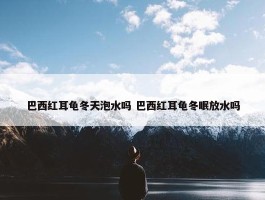 巴西红耳龟冬天泡水吗 巴西红耳龟冬眠放水吗