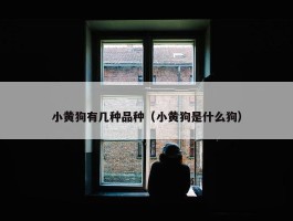 小黄狗有几种品种（小黄狗是什么狗）