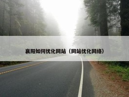 襄阳如何优化网站（网站优化网络）