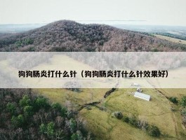 狗狗肠炎打什么针（狗狗肠炎打什么针效果好）