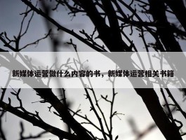 新媒体运营做什么内容的书，新媒体运营相关书籍