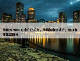 梅艳芳7000万遗产已花光，梅妈被申请破产，昔日奢侈生活曝光