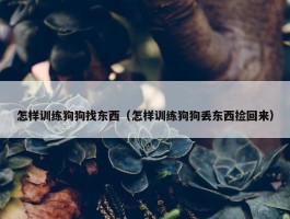 怎样训练狗狗找东西（怎样训练狗狗丢东西捡回来）