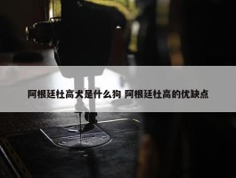 阿根廷杜高犬是什么狗 阿根廷杜高的优缺点