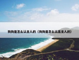 狗狗是怎么认主人的（狗狗是怎么认出主人的）