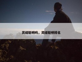 灵缇聪明吗，灵缇聪明排名