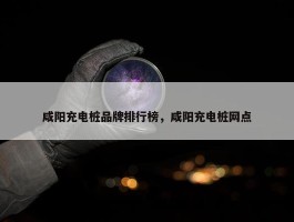 咸阳充电桩品牌排行榜，咸阳充电桩网点